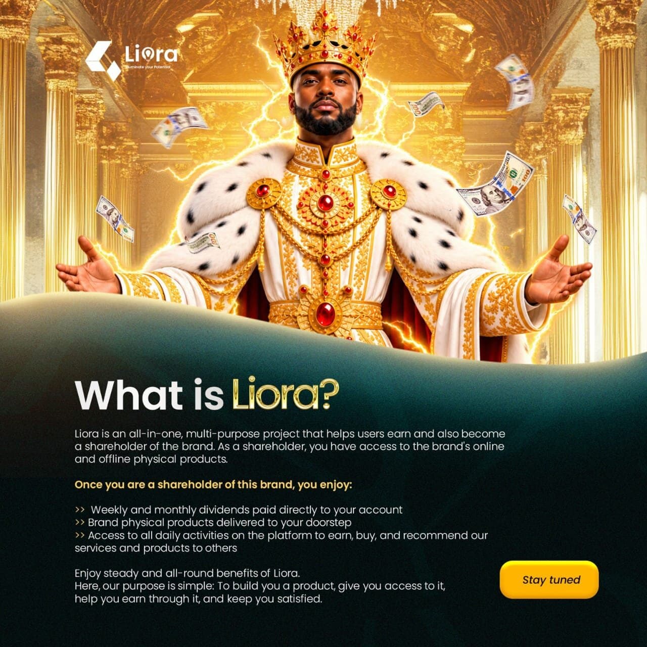 What is Liora? — a crowned king in a golden palace introducing Liora, the all-in-one project where users earn and become shareholders